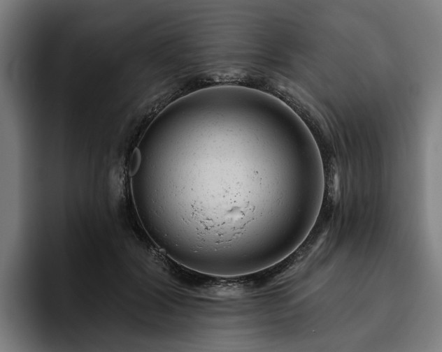 X0000094770604200711161357