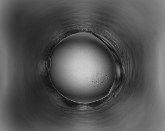 X0000094770605200711161357