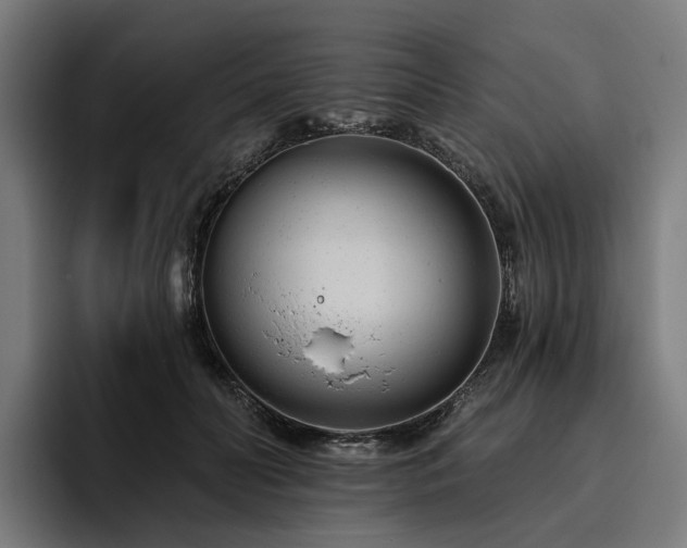 X0000094770606200711161357