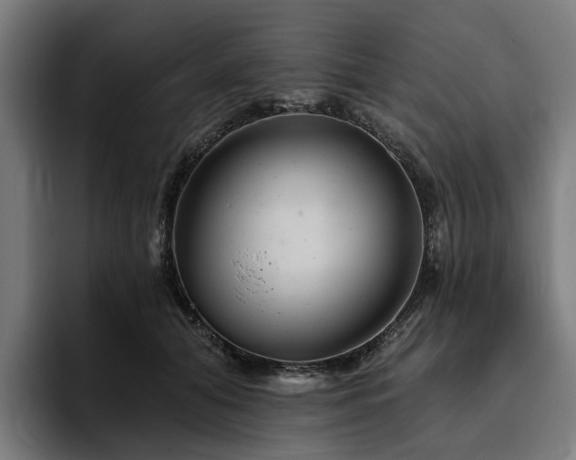 X0000094770608200711161357