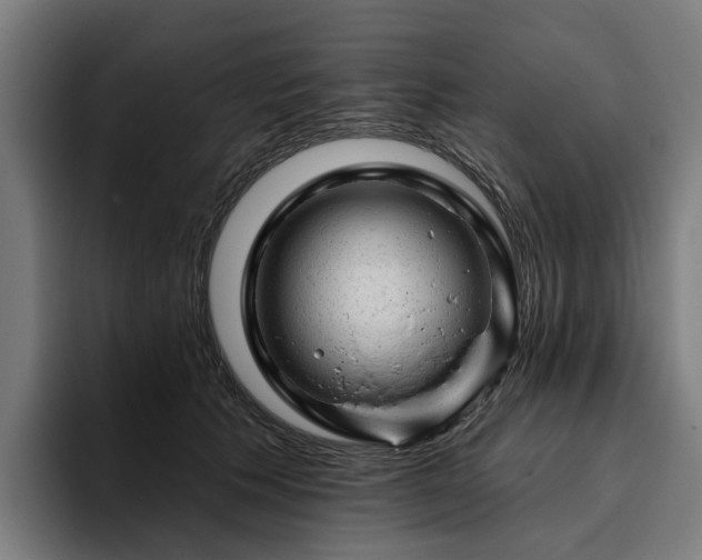 X0000094770609200711161357