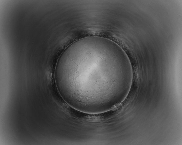 X0000094770615200711161357