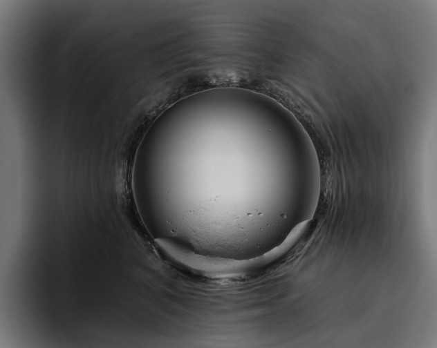 X0000094770616200711161357