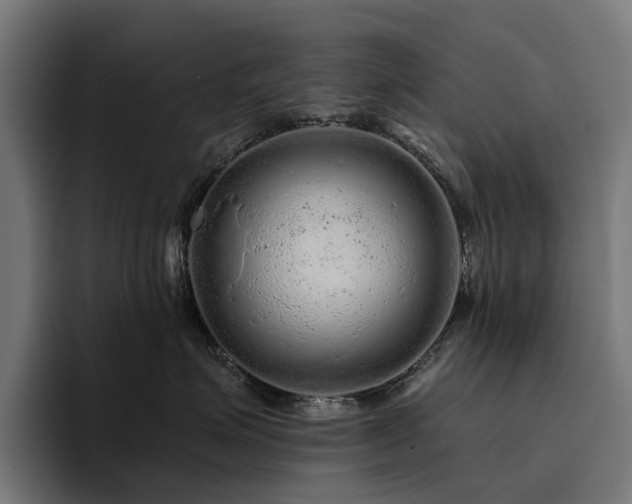 X0000094770623200711161357