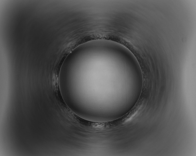 X0000094770624200711161357