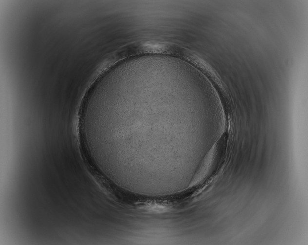 X0000094770626200711161356