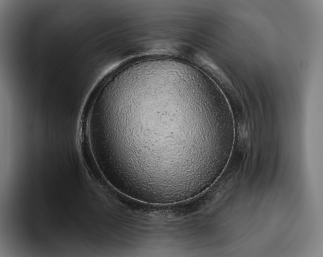 X0000094770628200711161356