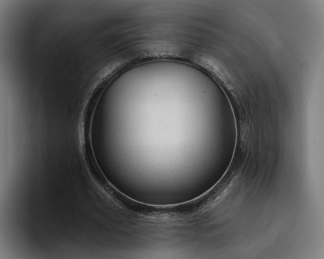 X0000094770629200711161356