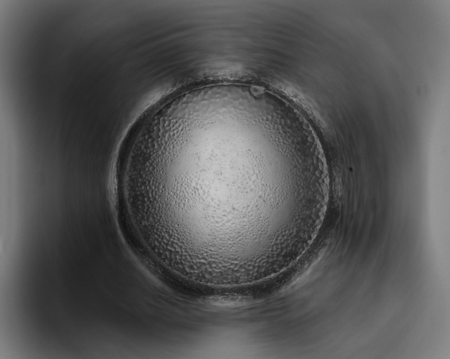 X0000094770630200711161356