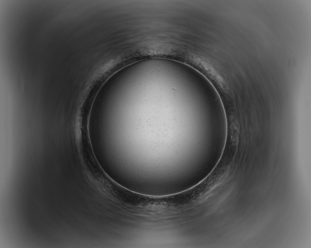 X0000094770631200711161356