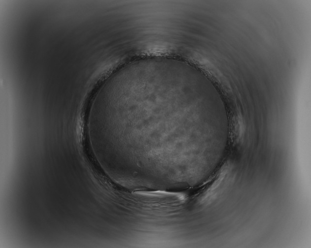 X0000094770640200711161356