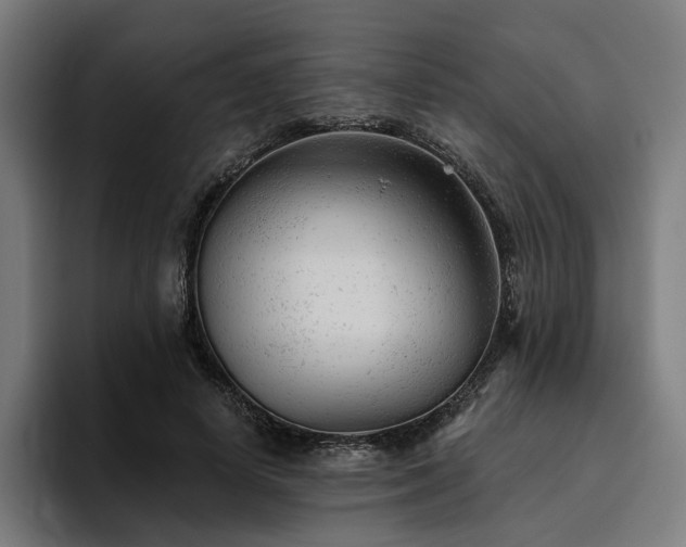 X0000094770642200711161356