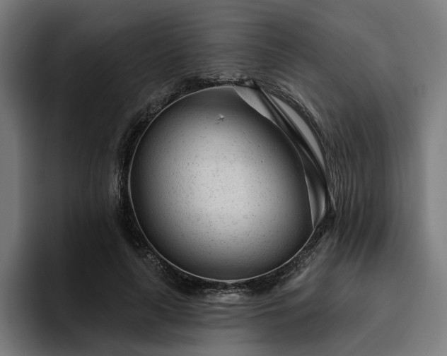 X0000094770643200711161356