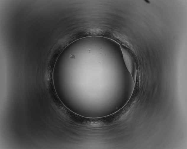 X0000094770645200711161356