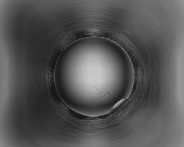 X0000094770653200711161357