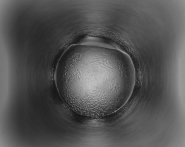 X0000094770657200711161357