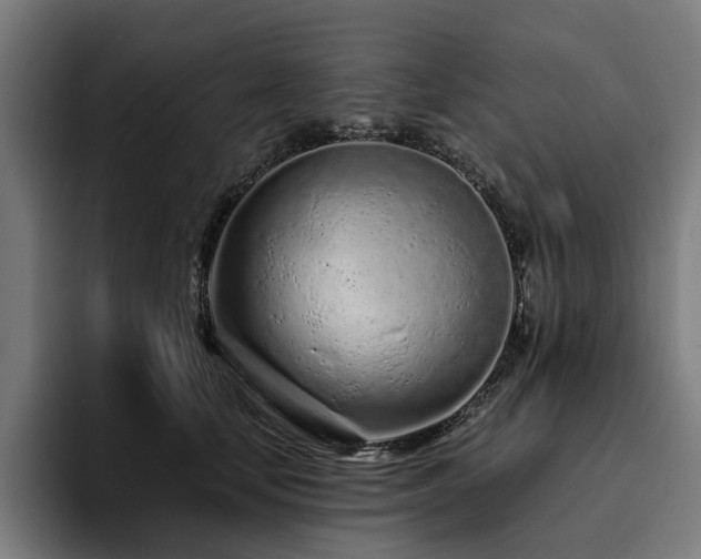 X0000094770659200711161357