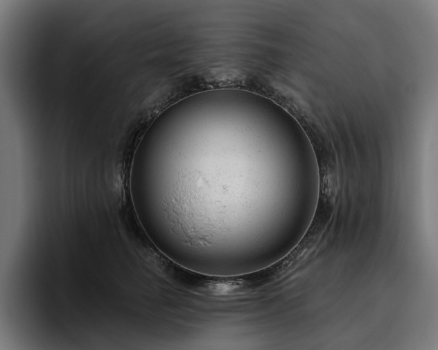 X0000094770662200711161357