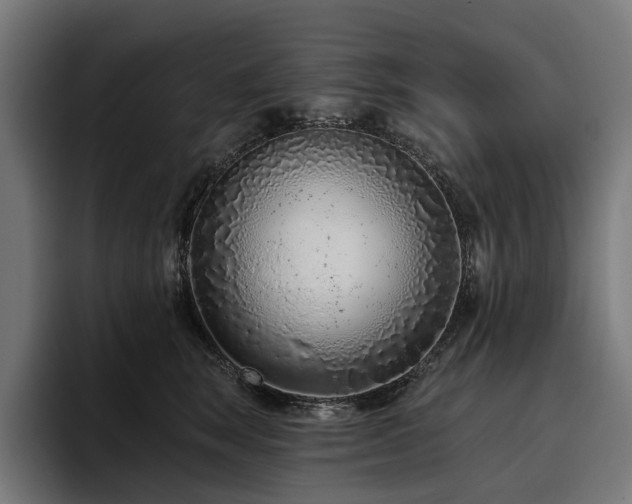 X0000094770663200711161357