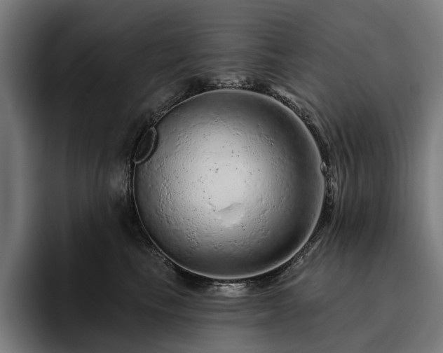 X0000094770665200711161357