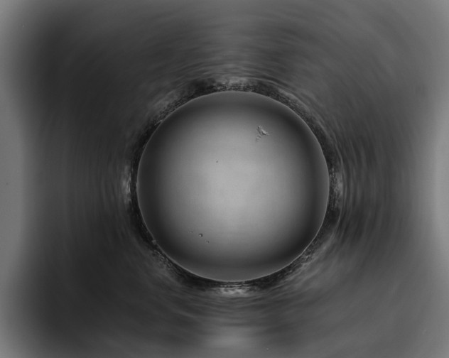 X0000094770668200711161357