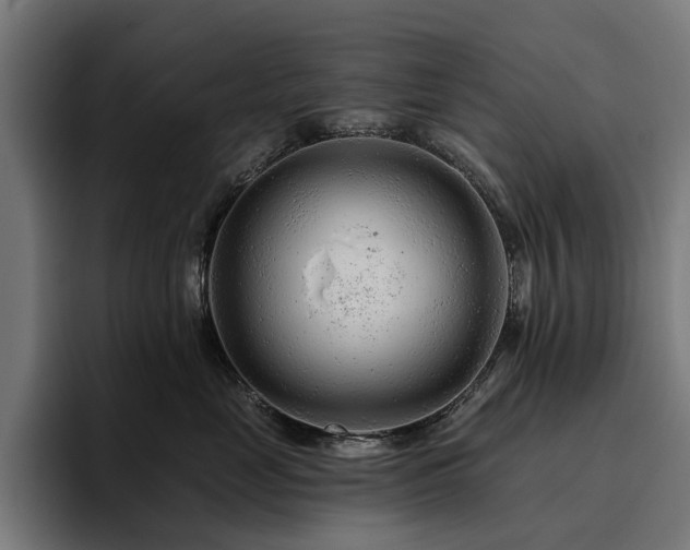 X0000094770669200711161357