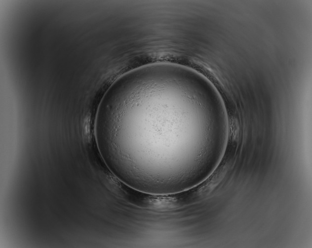 X0000094770670200711161357