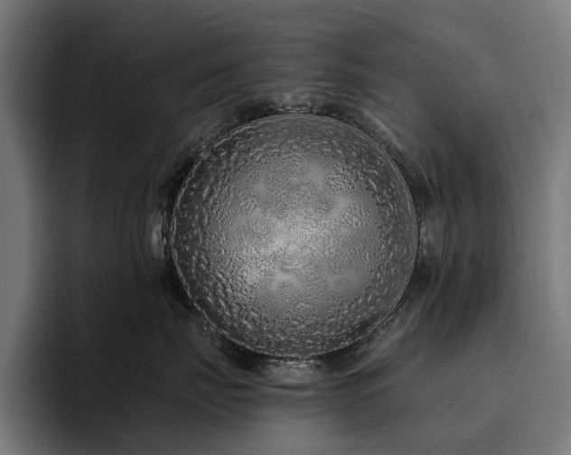 X0000094770671200711161357