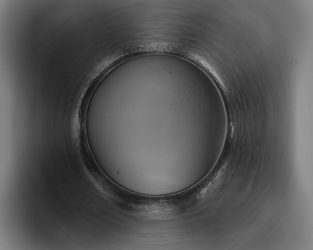 X0000094770674200711161356