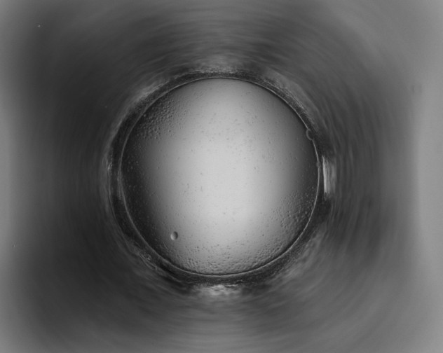 X0000094770675200711161356