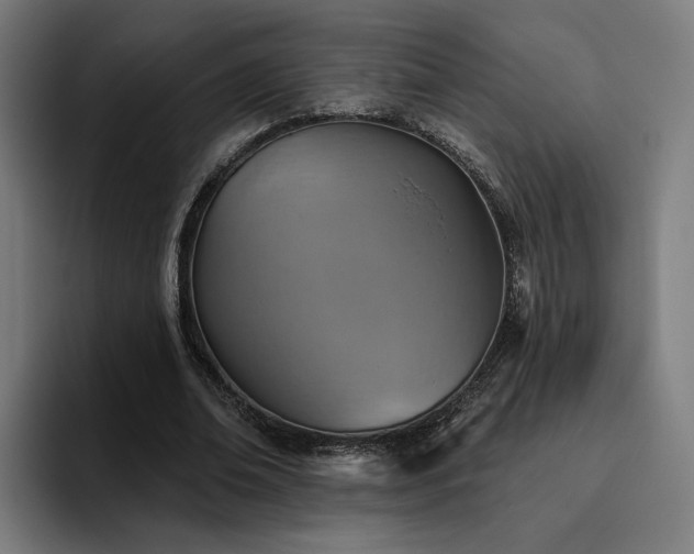 X0000094770678200711161356