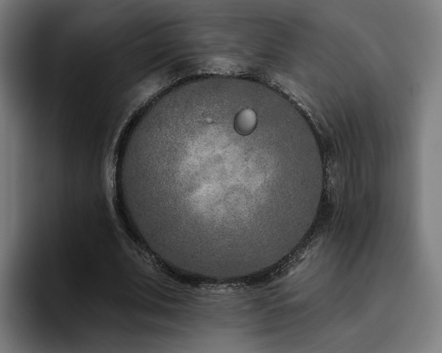 X0000094770679200711161356