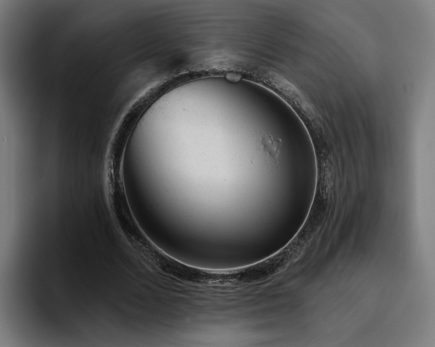 X0000094770680200711161356