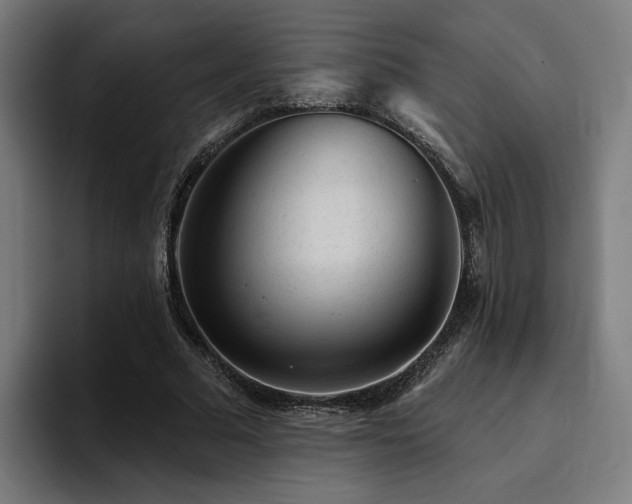 X0000094770681200711161356