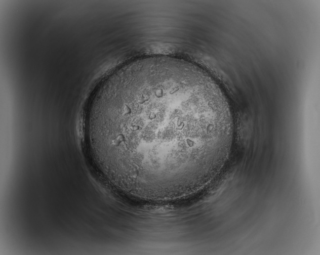 X0000094770683200711161356