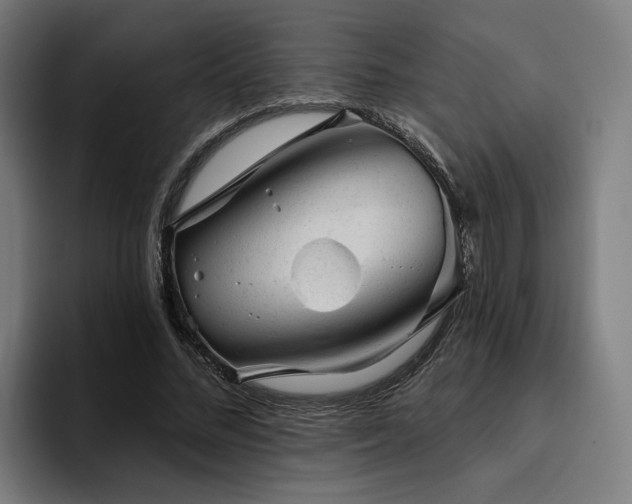 X0000094770684200711161356