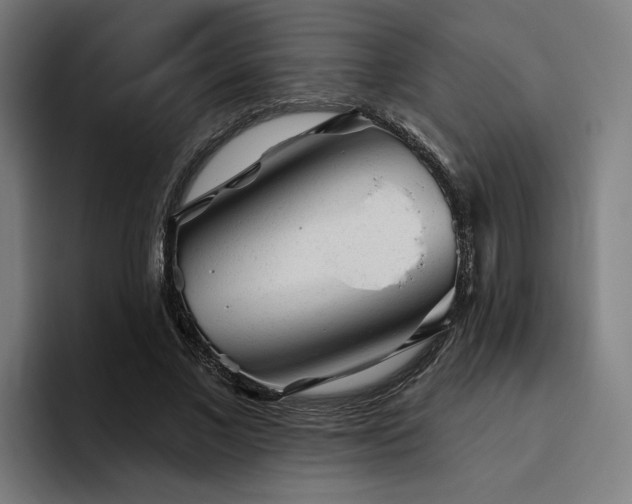 X0000094770685200711161356