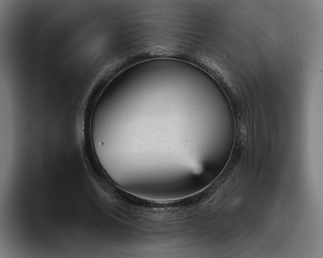 X0000094770686200711161356