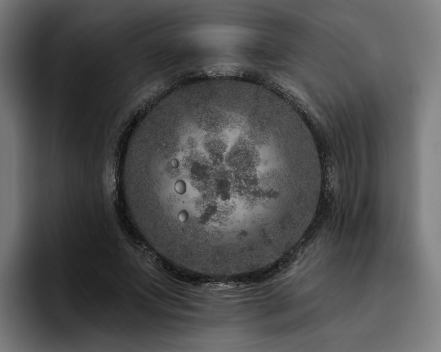 X0000094770687200711161356