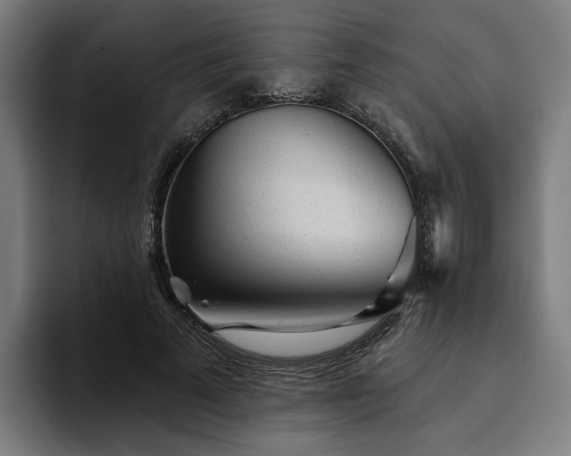 X0000094770689200711161356