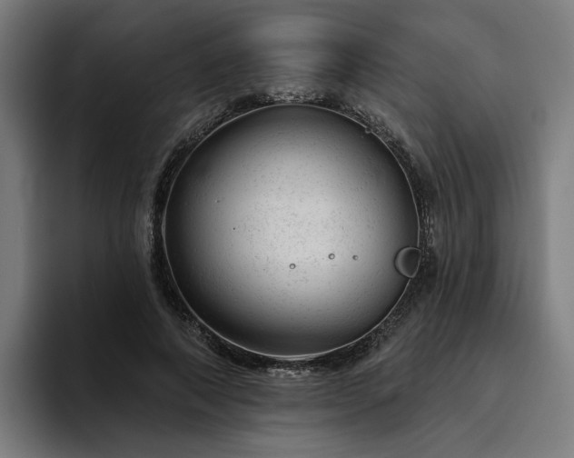 X0000094770690200711161356