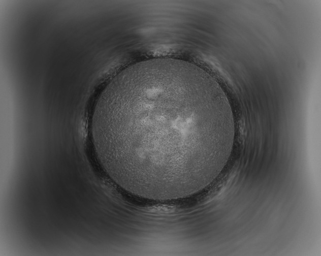 X0000094770691200711161356