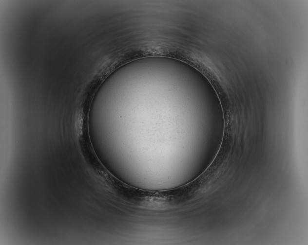 X0000094770694200711161356