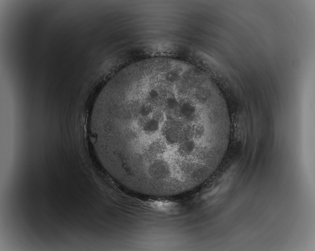 X0000094770695200711161356