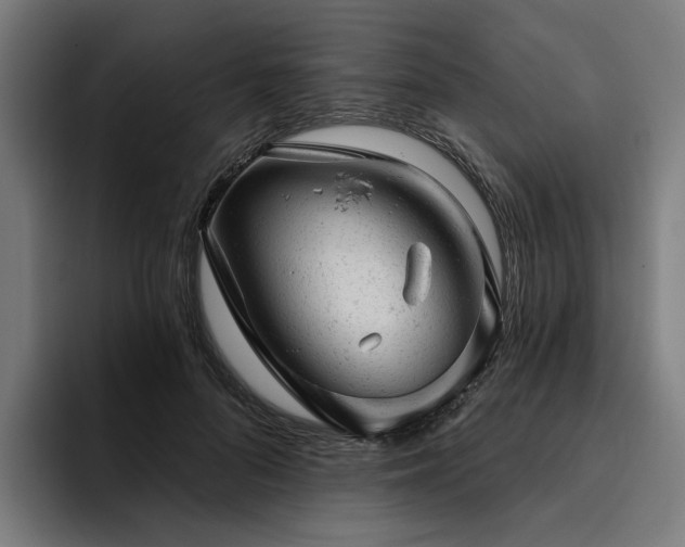 X0000094770696200711161356