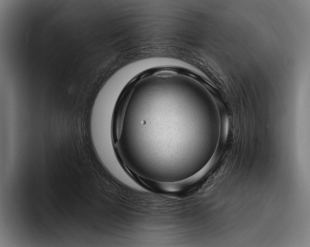 X0000094770697200711161356