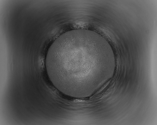 X0000094770699200711161356