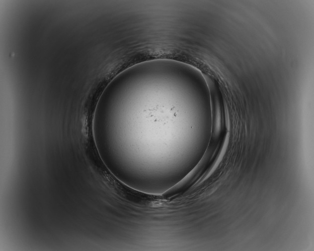 X0000094770700200711161356