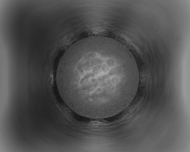 X0000094770703200711161356