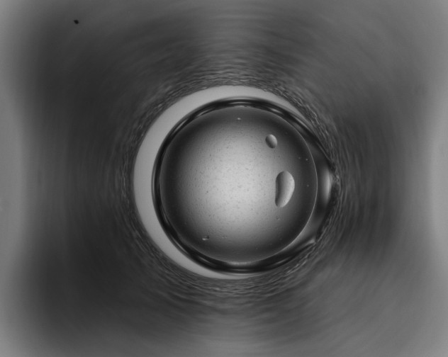 X0000094770705200711161356